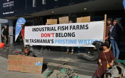 Protesters Dump Marine Debris From Unsustainable Tas Fish Farming Industry at Tassal Salmon Shop
