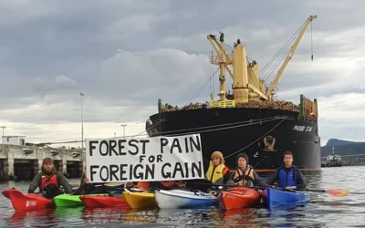 Dozens Stage Kayak Blockade at Hobart Wharf; Two Locked on to Export Ship
