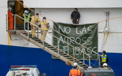 Peaceful Protesters and Dolphins Stop Seismic Survey Ship from Blasting Tasmanian Waters