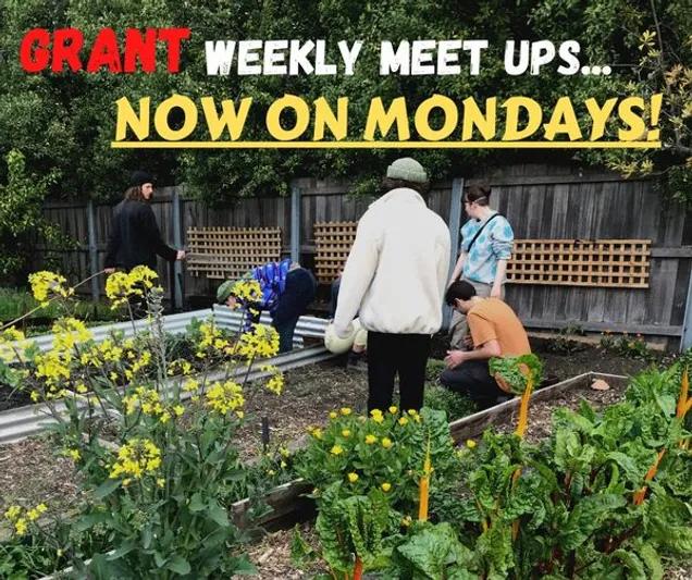 People gardening with the text GRANT weekly meet ups...now on Mondays!